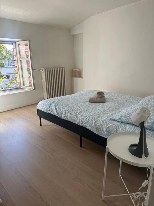 Le Leon Cladel T3 Proche Parking Gratuit Apartment Монтобан Екстериор снимка